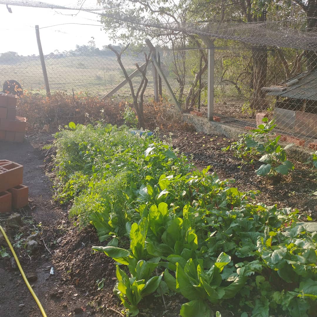 WhatsApp I8mage 2021-10-04 at 10.11.40 PM