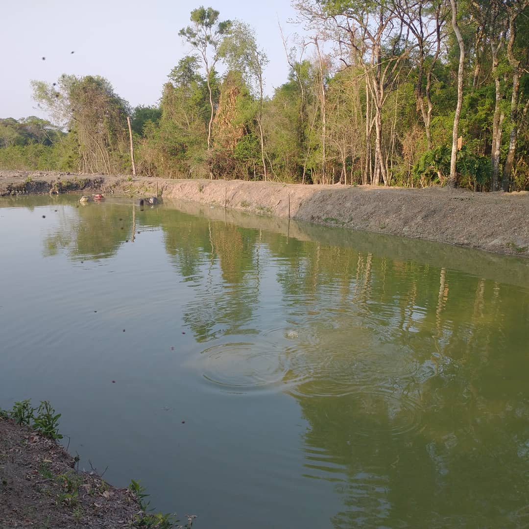 WhatsApp Image 2021-10-04 a0t 10.11.39 PM