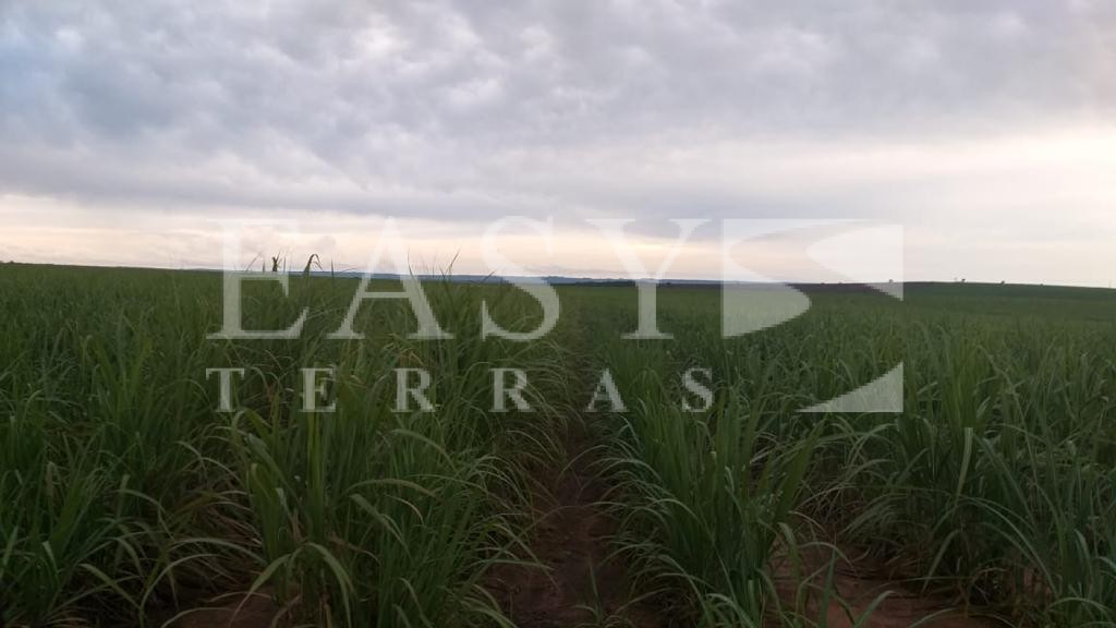 WhatsApp Image 2021-11-19 at 17.00.47