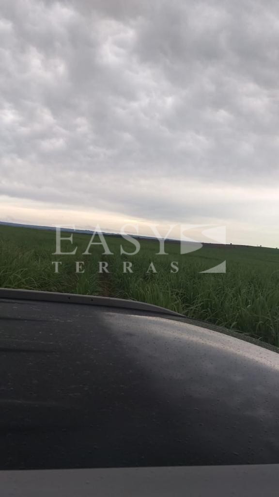 WhatsApp Image 2021-11-19 at 17.00.48