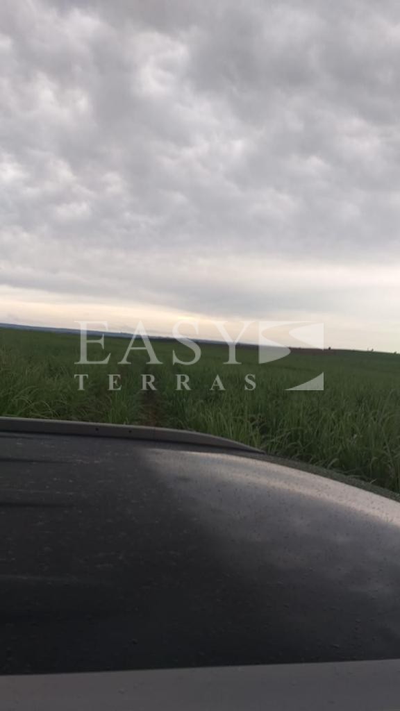 WhatsApp Image 2021-11-19 at 17.00.49 (2)