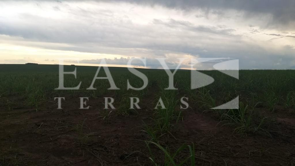 WhatsApp Image 2021-11-19 at 17.00.49