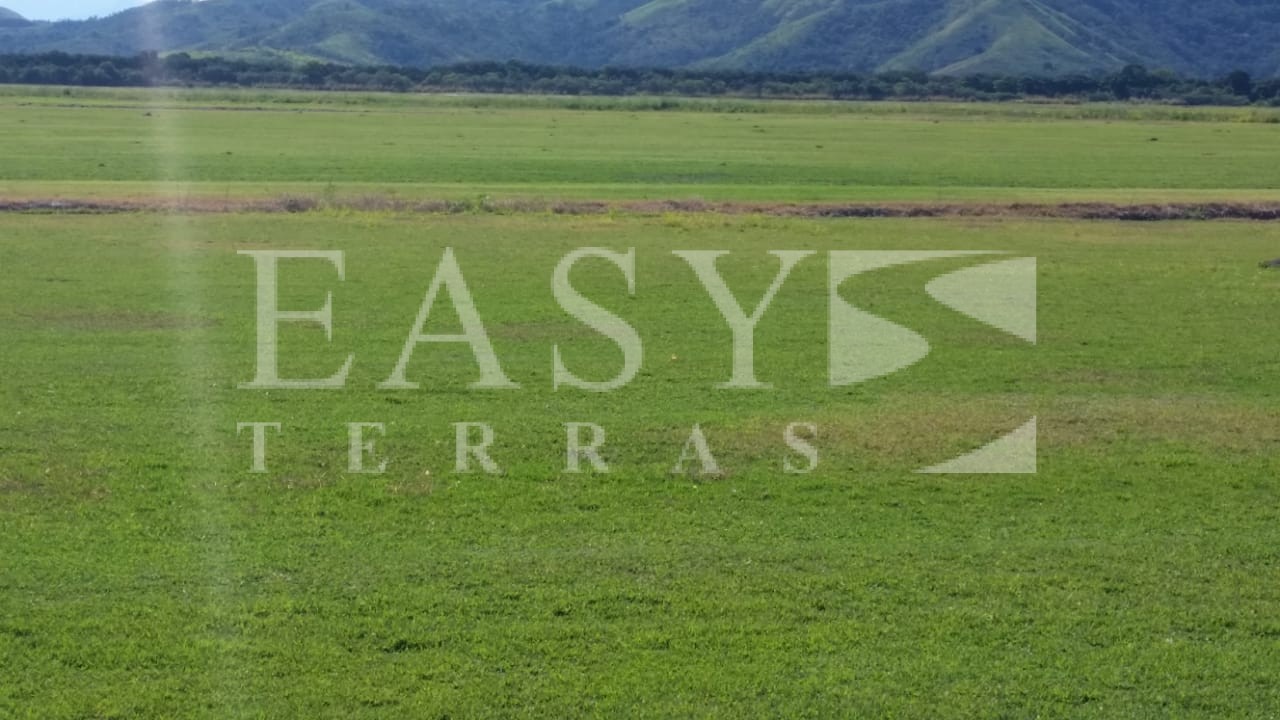 WhatsApp Image 2021-12-03 at 16.19.15 (1)